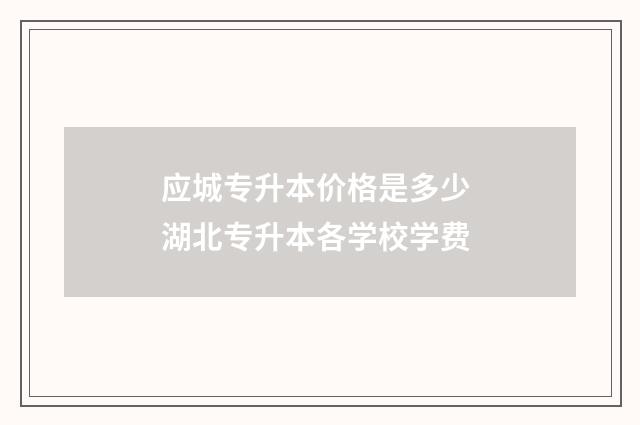 应城专升本价格是多少 湖北专升本各学校学费