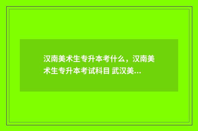 汉南美术生专升本考什么,汉南美术生专升本考试科目 武汉美术类专升本