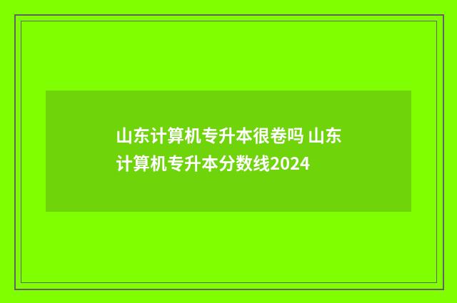 山东计算机专升本很卷吗 山东计算机专升本分数线2024