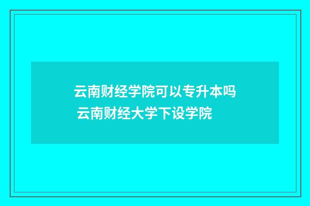 云南财经学院可以专升本吗 云南财经大学下设学院