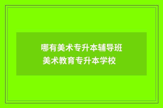 哪有美术专升本辅导班 美术教育专升本学校