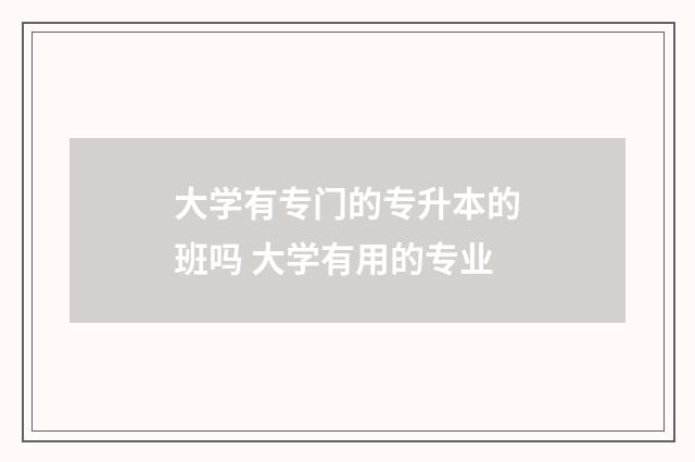 大学有专门的专升本的班吗 大学有用的专业