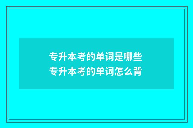 专升本考的单词是哪些 专升本考的单词怎么背