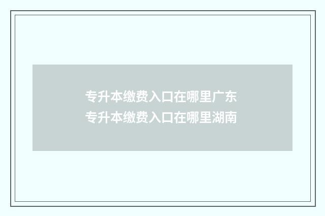 专升本缴费入口在哪里广东 专升本缴费入口在哪里湖南