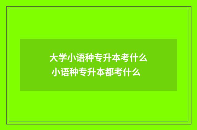 大学小语种专升本考什么 小语种专升本都考什么
