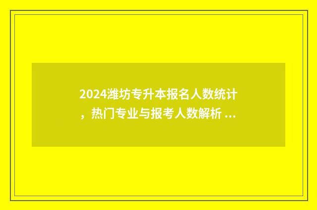 2024潍坊专升本报名人数统计,热门专业与报考人数解析 2024潍坊专升本考点
