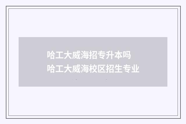 哈工大威海招专升本吗 哈工大威海校区招生专业