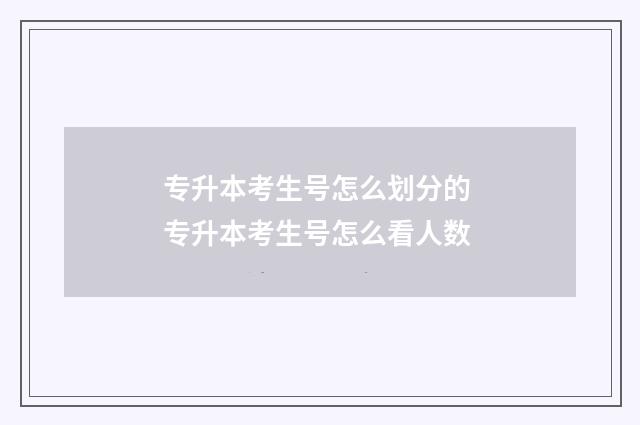 专升本考生号怎么划分的 专升本考生号怎么看人数