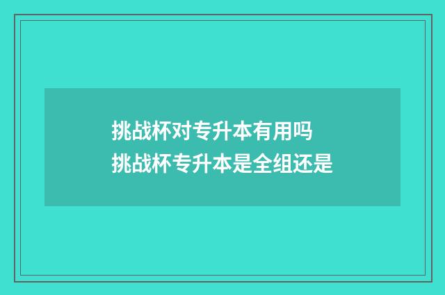 挑战杯对专升本有用吗 挑战杯专升本是全组还是