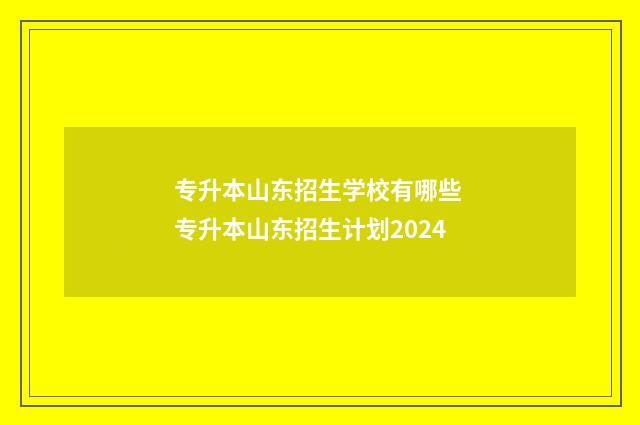 专升本山东招生学校有哪些 专升本山东招生计划2024