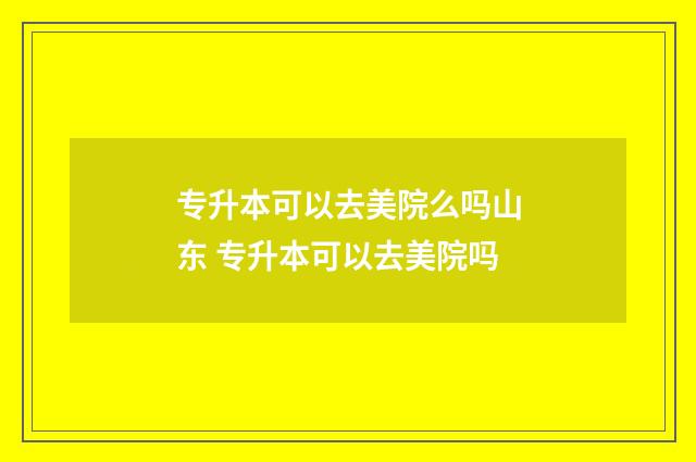 专升本可以去美院么吗山东 专升本可以去美院吗