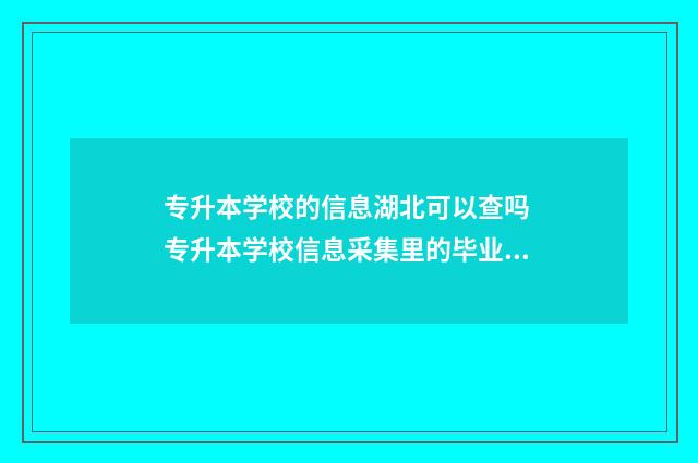 专升本学校的信息湖北可以查吗 专升本学校信息采集里的毕业学校是填专科的学校吗