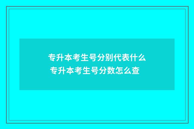 专升本考生号分别代表什么 专升本考生号分数怎么查