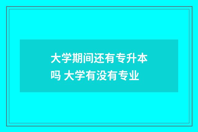 大学期间还有专升本吗 大学有没有专业