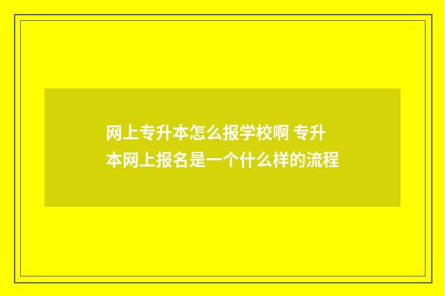 网上专升本怎么报学校啊 专升本网上报名是一个什么样的流程
