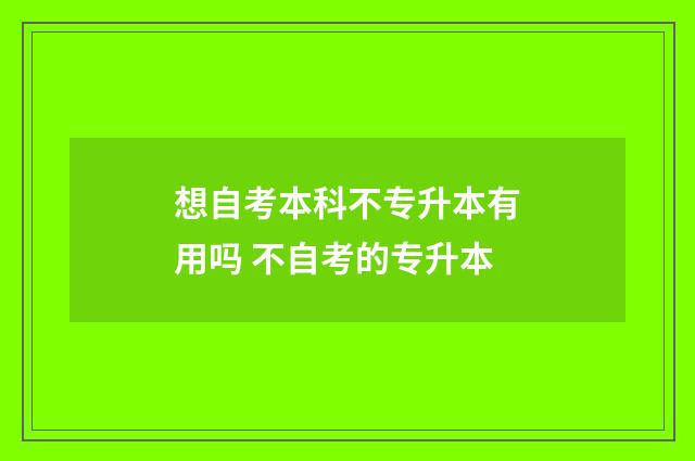 想自考本科不专升本有用吗 不自考的专升本