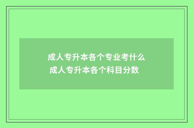 成人专升本各个专业考什么 成人专升本各个科目分数