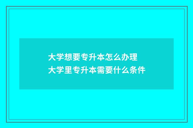 大学想要专升本怎么办理 大学里专升本需要什么条件