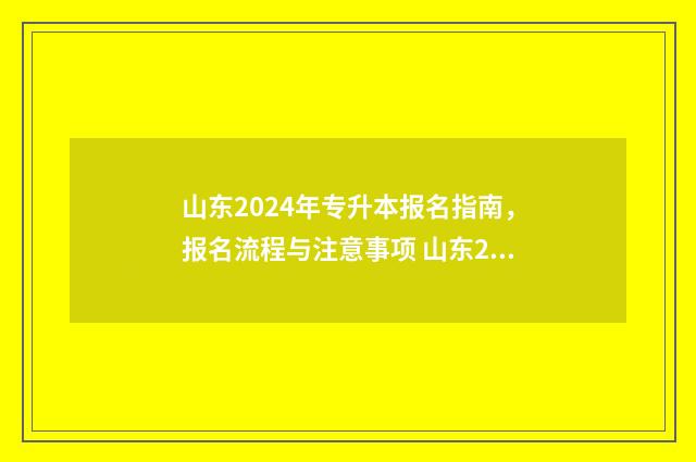 山东2024年专升本报名指南，报名流程与注意事项 山东2024年专升本学校
