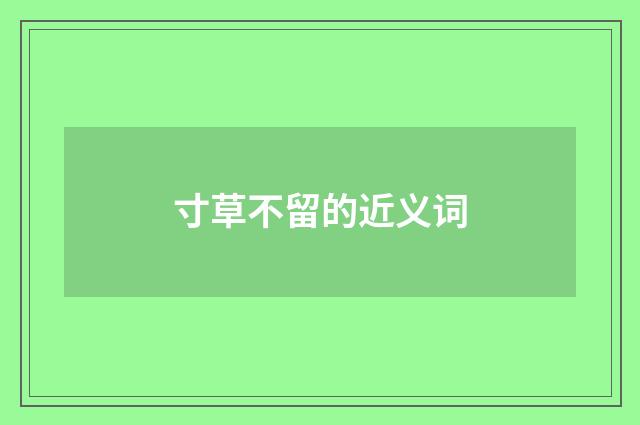 寸草不留的近义词