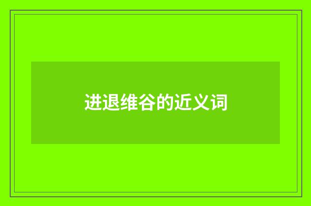 进退维谷的近义词