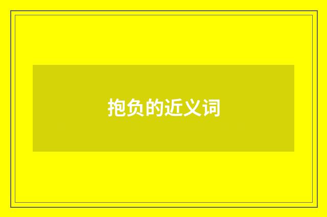 抱负的近义词
