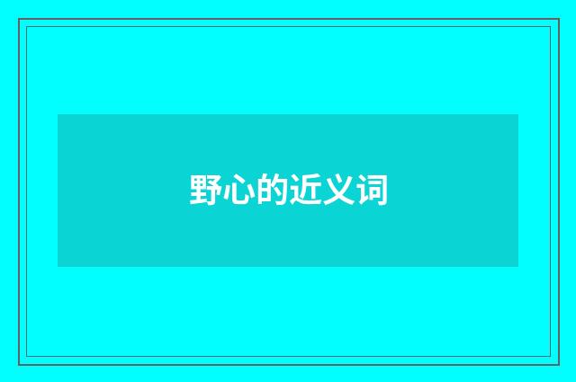 野心的近义词