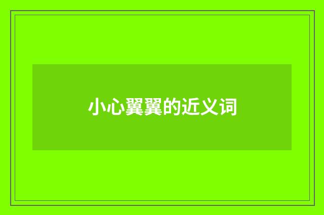 小心翼翼的近义词