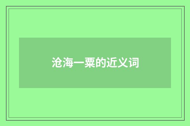 沧海一粟的近义词