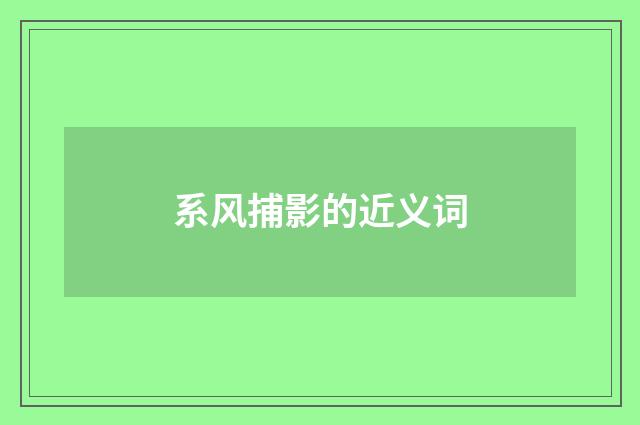 系风捕影的近义词