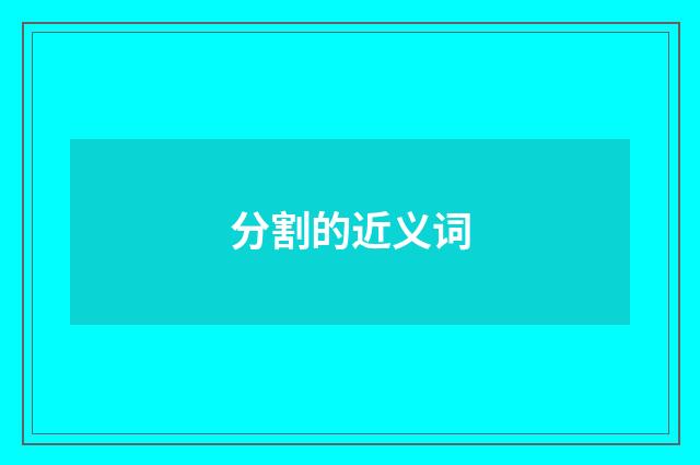 分割的近义词