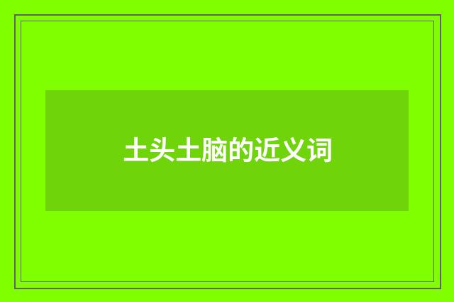 土头土脑的近义词