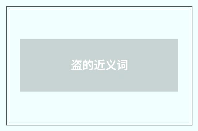盗的近义词