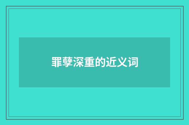 罪孽深重的近义词