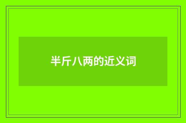 半斤八两的近义词
