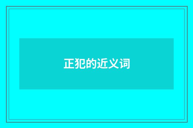 正犯的近义词