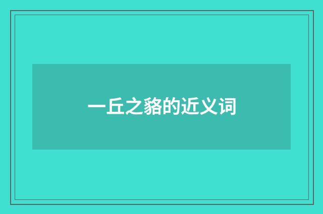 一丘之貉的近义词