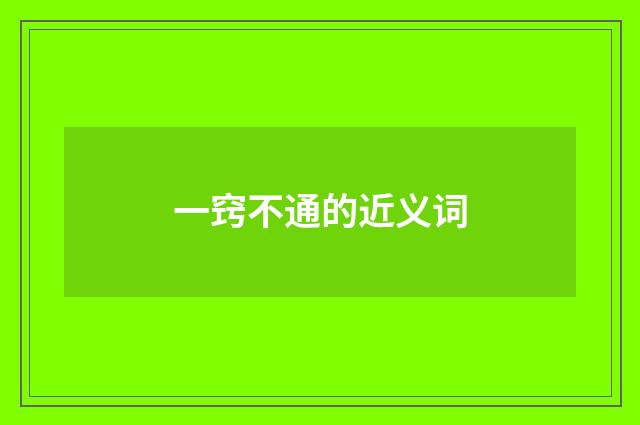 一窍不通的近义词