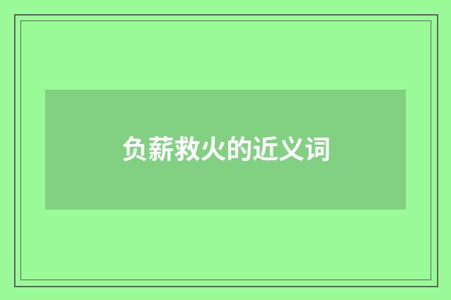 负薪救火的近义词