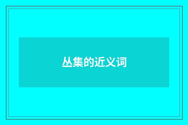 丛集的近义词