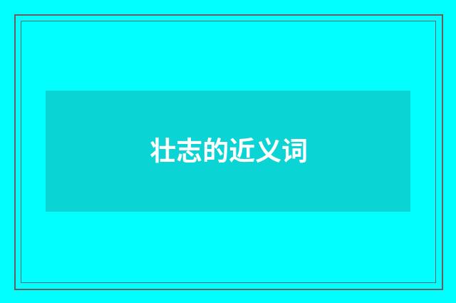 壮志的近义词