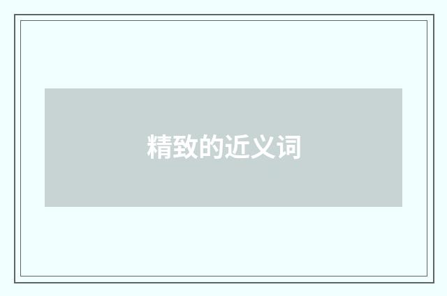 精致的近义词