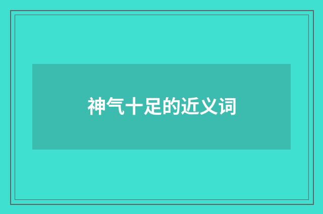 神气十足的近义词