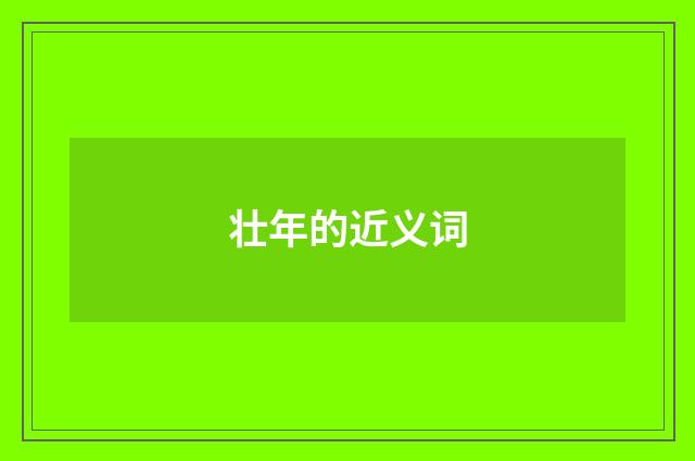 壮年的近义词