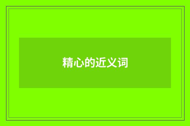 精心的近义词