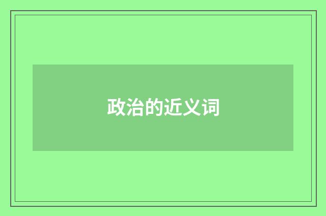 政治的近义词