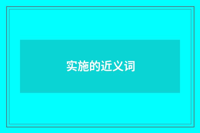 实施的近义词