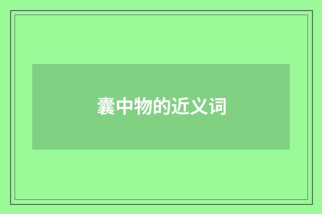 囊中物的近义词