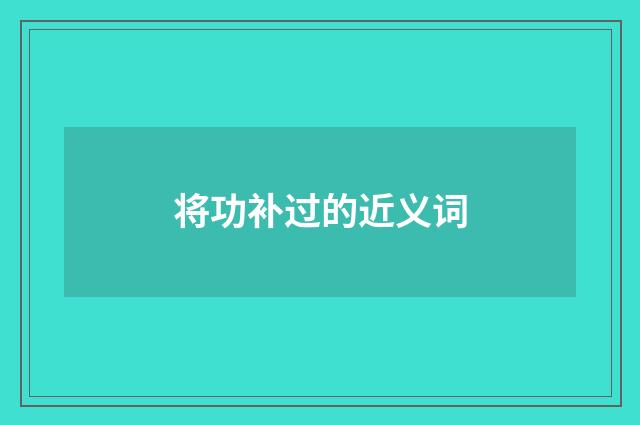 将功补过的近义词