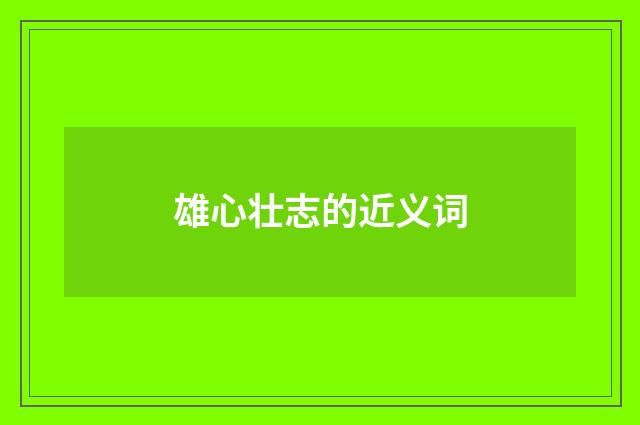 雄心壮志的近义词